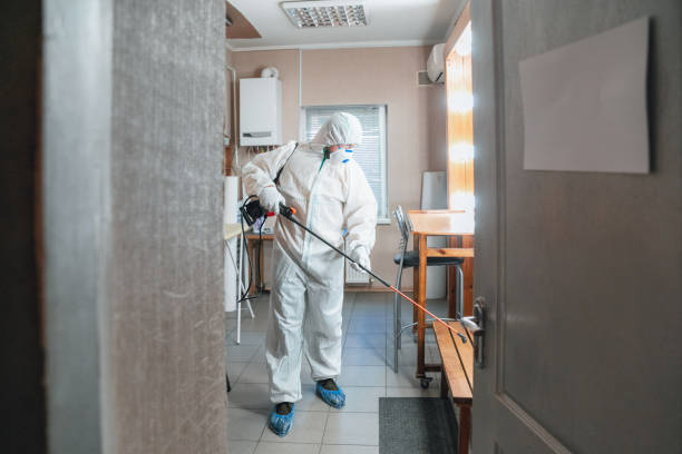 Best Forensic Mold Investigation  in Kingston, PA